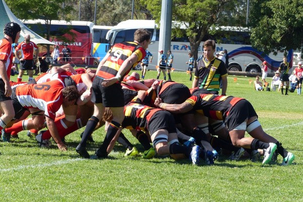 NSW COUNTRY RUGBY CHAMPIONSHIPS